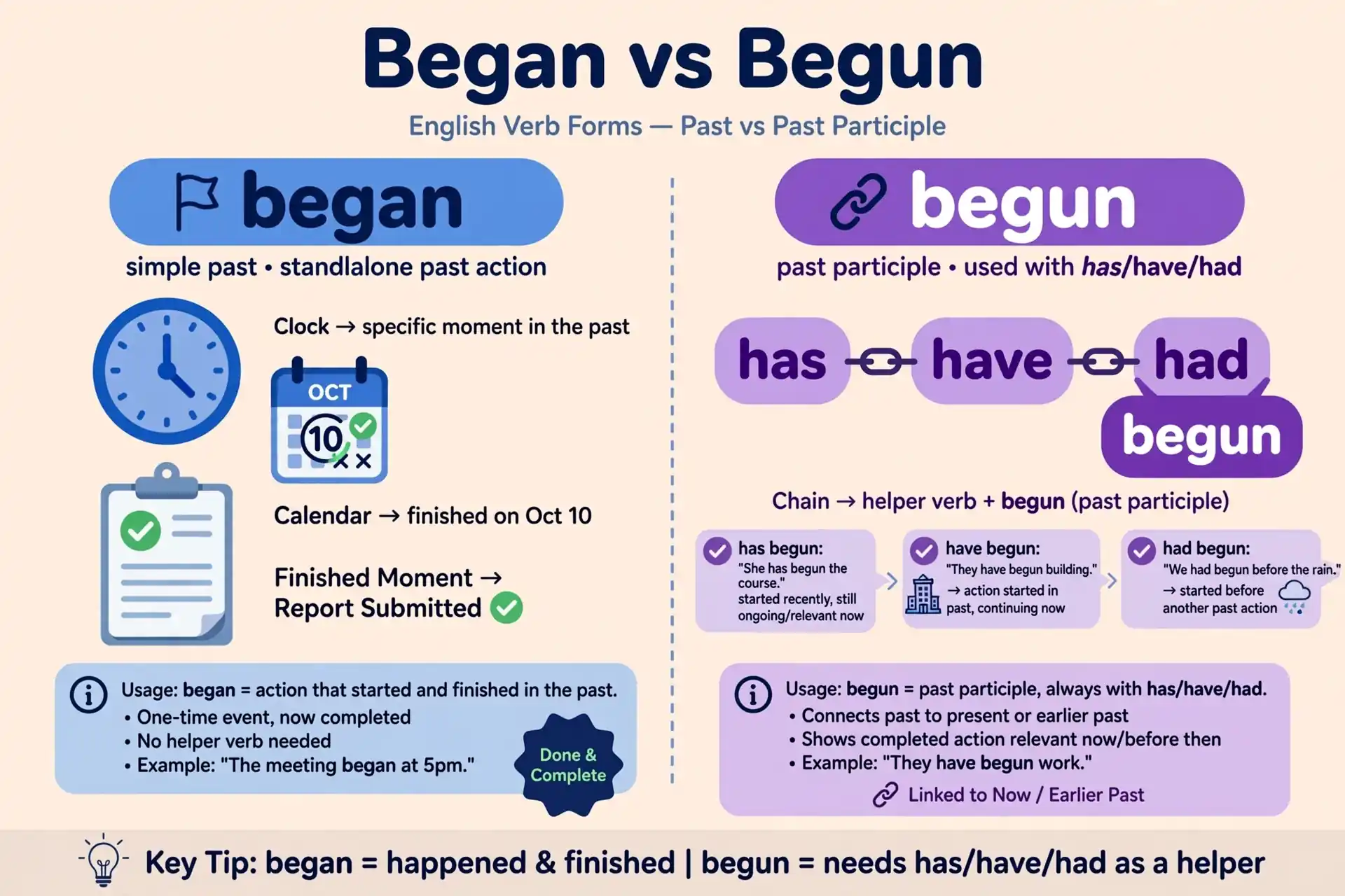 began vs begun — simple past stands alone while the past participle needs has, have, or had